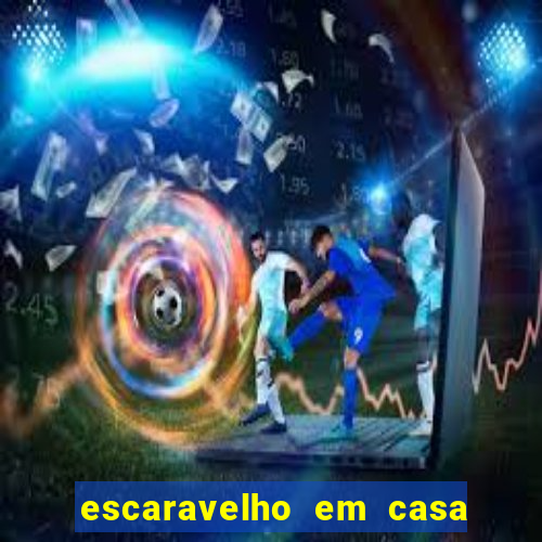 escaravelho em casa significado espiritual